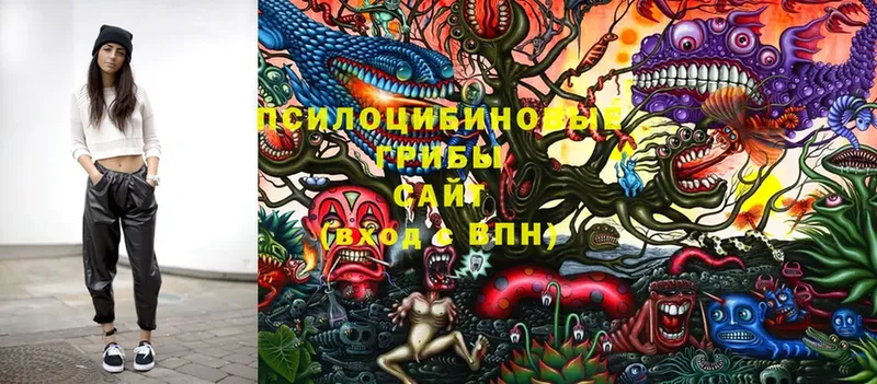 Псилоцибиновые грибы MAGIC MUSHROOMS  купить закладку  ОМГ ОМГ вход  Тетюши 